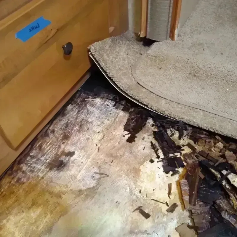 Wood Floor Water Damage in Cocoa West, FL